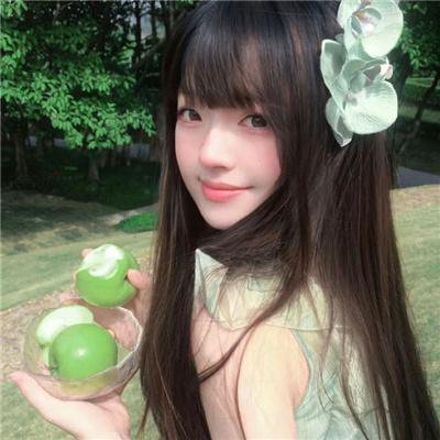 狮子护卫队第一季